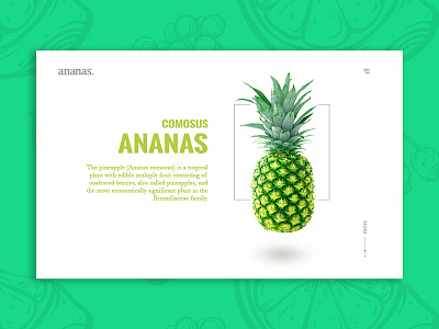 Ananas Header blog card flat header minimal product ui website widget