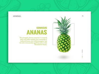 Ananas Header