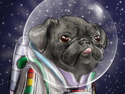 Cadet Sparkles cartoon dog illustration photoshop pug