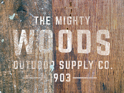 The Mighty Woods logo mock up logos retro texture typography vintage weathered