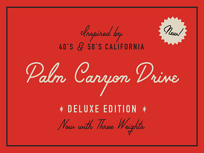 Palm Canyon Drive Deluxe Edition amy hood cursive font fonts hand lettered font hoodzpah palm canyon drive script font