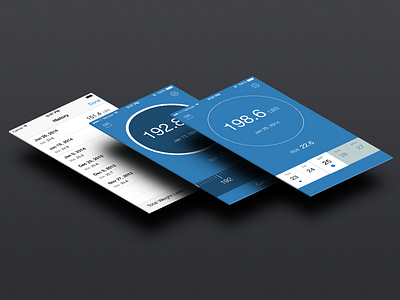 Pocket Scale App app blue ios ios7 iphone ui ux