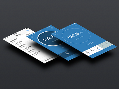 Pocket Scale App