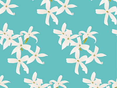 Jasmine Flower Pattern design design illustration jasmine pattern