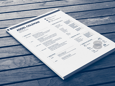 Resume/CV - Swiss clean curriculum vitae cv design employment flat icons job modern print layout resume template