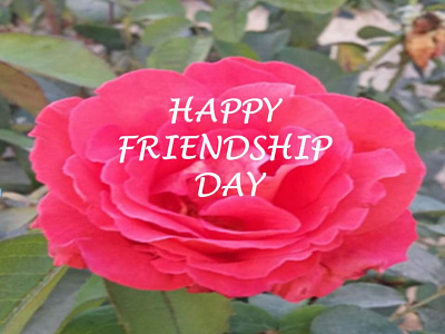 Happy Friendship Day Wishes Messages 2021