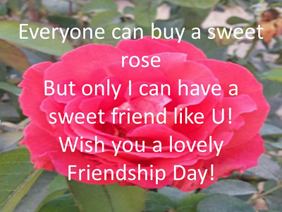 Best Friendship Day Photo HD Download friendshipdayimagesdownload friendshipdayimageshd friendshipdayphotos friendshipdayphotosdownload friendshipdaypics