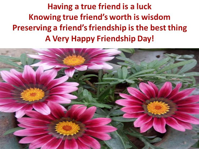 Happy Friendship Day Pictures HD