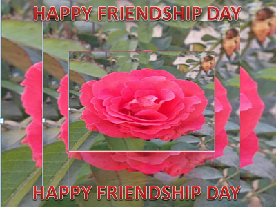 Happy Friendship Day Greetings Wishes Messages