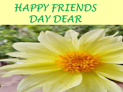 Happy Friendship Day Pic HD Images Messages