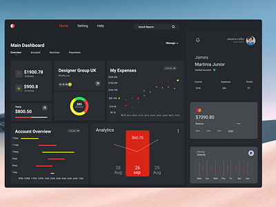 Main Dashboard