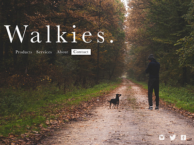 Walkies design figma homepage image minimalism photoshop simple ui ux web design website