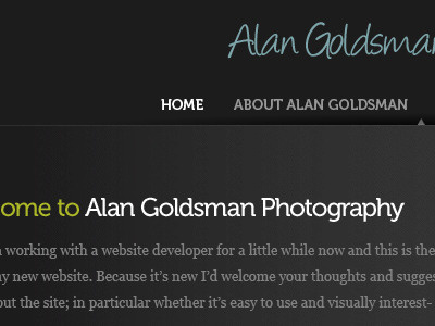 Alan Goldsman