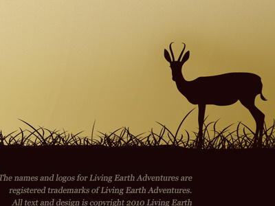 Living Earth Homepage brown silhouette sunset