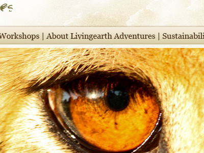 Living Earth Homepage5