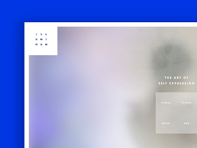 Illuminum Website Concept concept layout page perfume shop ui ux web website