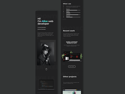 Web developer portfolio - responsive