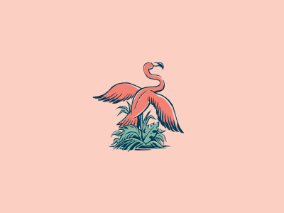 Flamingo