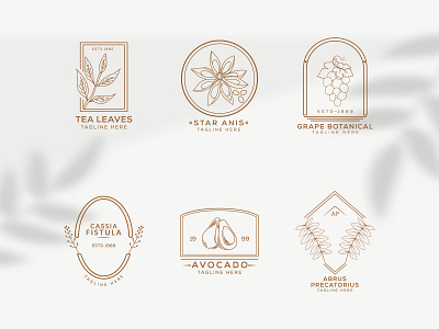 Botanical floral hand drawn-logo vector template. botanical brance branding creative floral flower graphic design hand drawn leaf logo logo set minimalist nature sign simple spa style symbol template vector