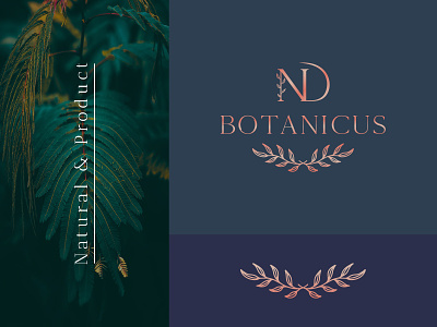 Floral Element Botanical Natural Hand Drawn Logo Template.