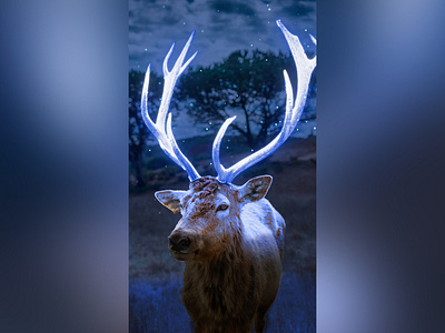 Magical Vibes animals deer digital art fantasy graphic design magical photo manipulation