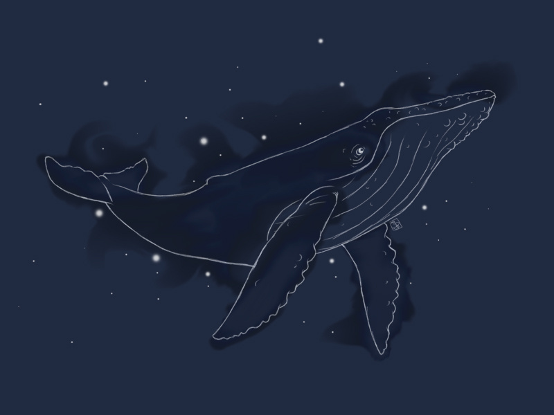 Spacial Whale painting sketchbookpro whale ocean wave blue space