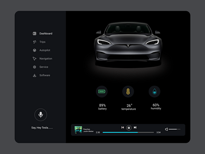 Tesla car interface design ui
