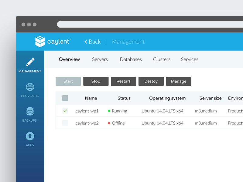 Dashboard // Caylent.com icons template navigation list table web flat ui management panel dashboard