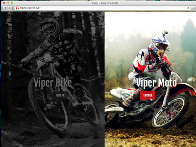 Viper Splash Screen flat design splash page website