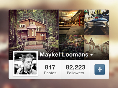 Instagram Profile Widget follow instagram mini photos profile ui