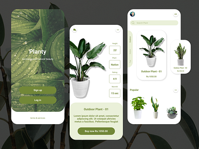 "Planty" app branding design figma graphic design illustration logo ui ux vector web