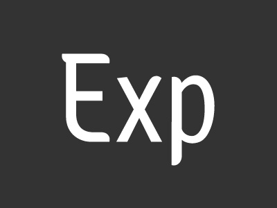 Exp design logo logotype typography