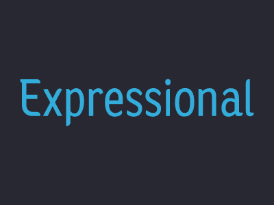 Expressional design logo logotype typography