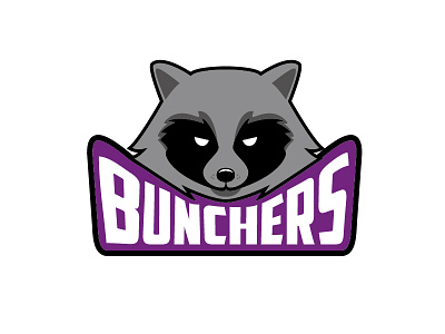 A raccoon design for Bunchers animal coon cute flat design illustration lettering line line art logo minimalism pet raccoon