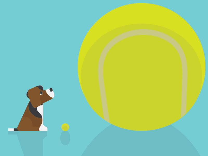 Puppy :) illustrator flat puppy