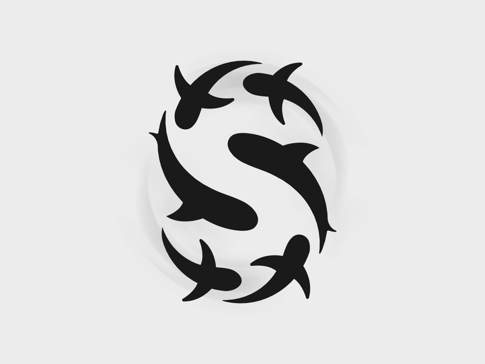 S for Shark
