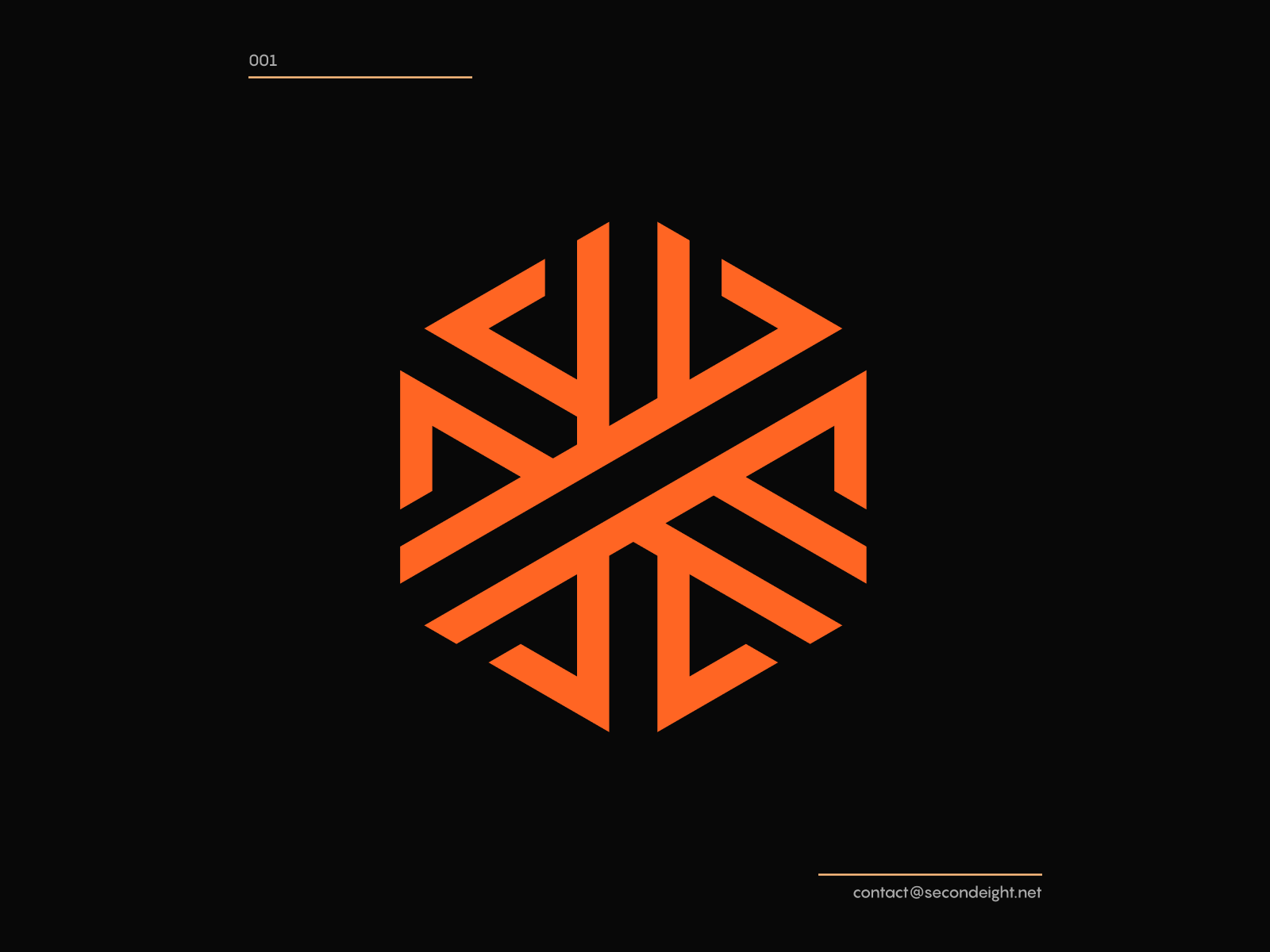 Behance Project, Hexagon Logo Collection