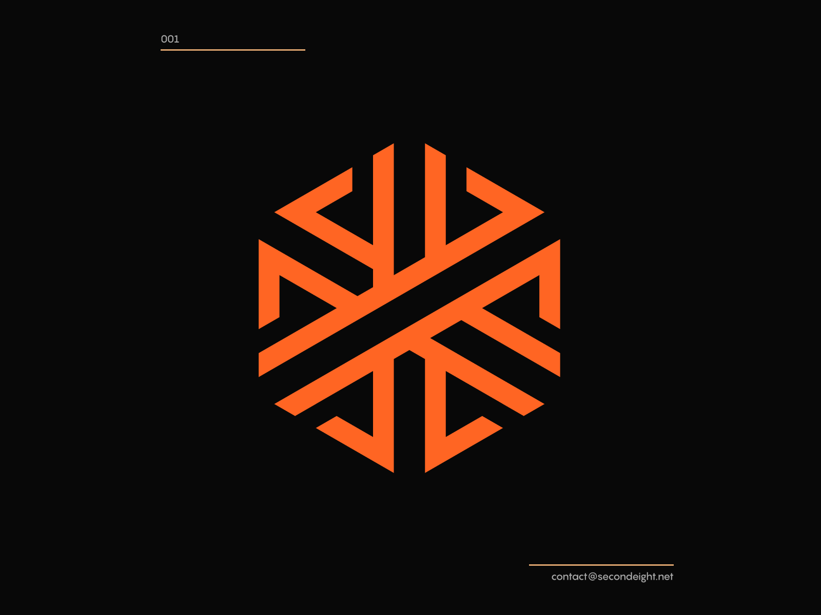 Behance Project, Hexagon Logo Collection abstract behance brand branding concept design hexagon idea identity line art lines logo mark simple symbol