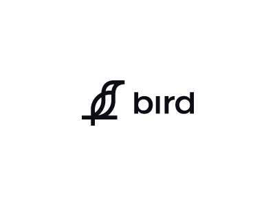 Bird abstract bird brand identity lines logo symbol