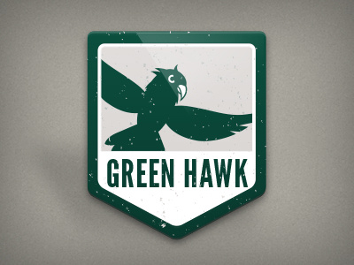 Green Hawk bird graphic design green hawk icon igodigital illustration logo texture vector