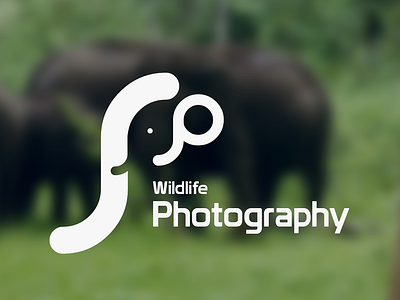 SP Wildlife Photography creative graphicsdesign logo negativespacelogo photographylogo ranjithpanneridesign wildlifelogo