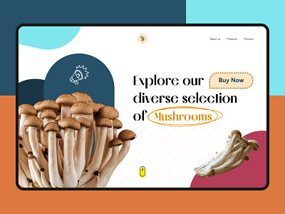Mushrooms website design figma food hero modern mushrooms pastel colors ui uidesign ux veggies webdesign
