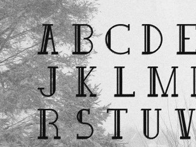 Bobber Typeface bobber font typeface typography