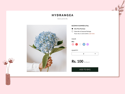 The Florist - Hydrangea design florist illustration ui ux web design website