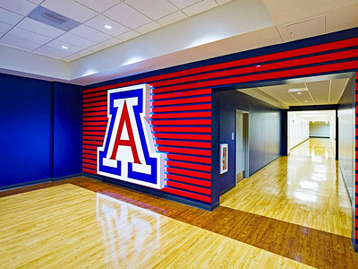 University of Arizona – Design Build