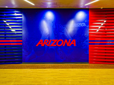 University of Arizona – Design Build branding design environmental graphic design