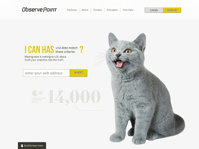 Observe Point Website Header cats header infographic lol cats observe point