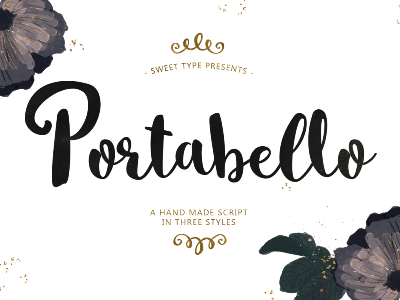 Portabello - Hand Made Script brush font calligraphy font hand lettered paint script typeface