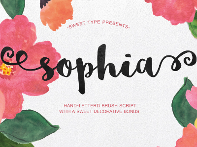 Sophia Hand-lettered Brush Script font hand lettering script typeface