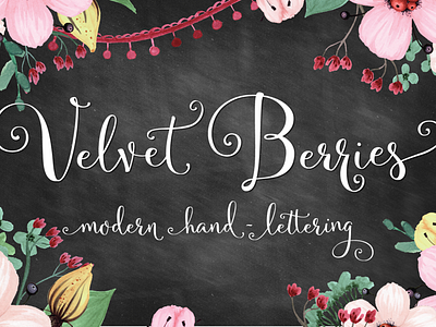 Velvetberries Hand lettered Script calligraphy font fonts hand lettered lettering sweet type